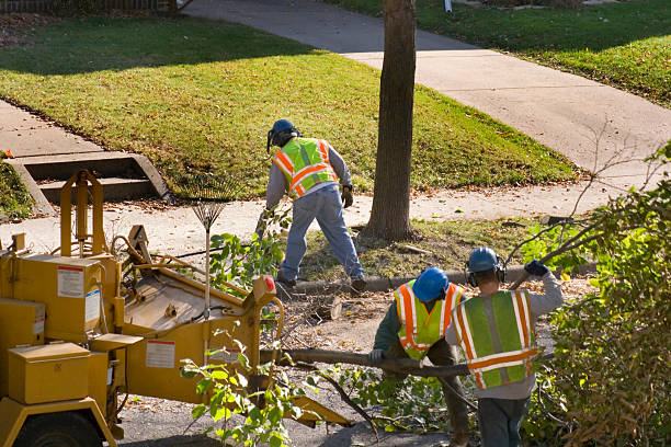 Best Lawn Renovation and Restoration  in Hershey, PA